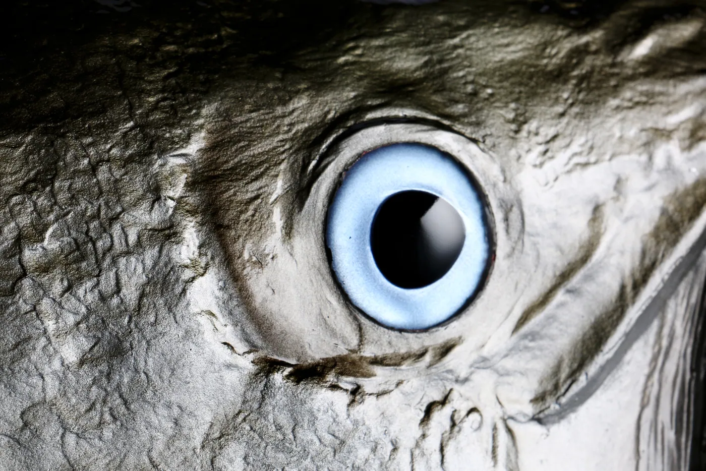 Macro of a hand-painted fibreglass fish eye